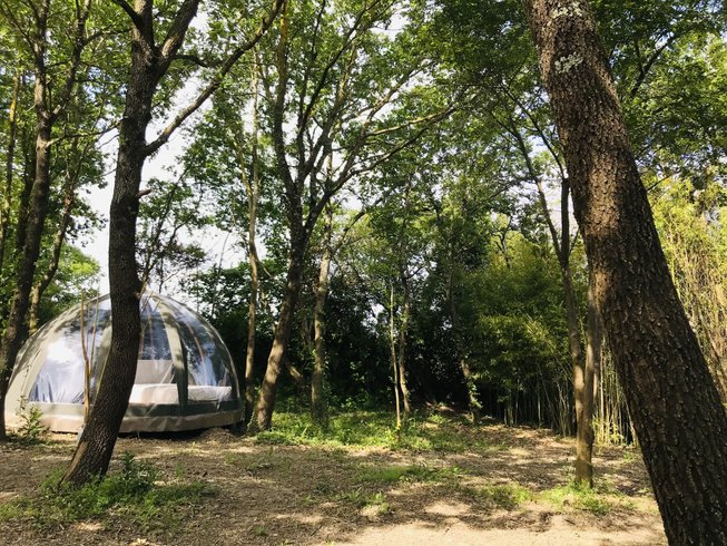 Ô cocon du Lauragais - Dôme et Spa : Bulle en Languedoc-Roussillon (Occitanie) – photo 6 sur 34