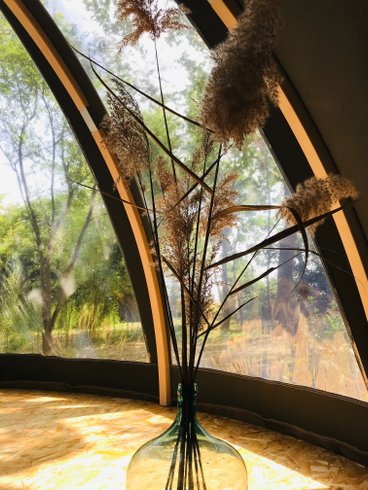 Ô cocon du Lauragais - Dôme et Spa : Bulle en Languedoc-Roussillon (Occitanie) – photo 16 sur 34