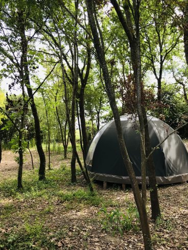 Ô cocon du Lauragais - Dôme et Spa : Bulle en Languedoc-Roussillon (Occitanie) – photo 19 sur 34