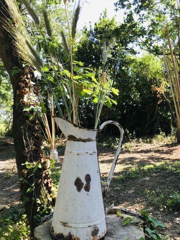 Ô cocon du Lauragais - Dôme et Spa : Bulle en Languedoc-Roussillon (Occitanie) – photo 20 sur 34