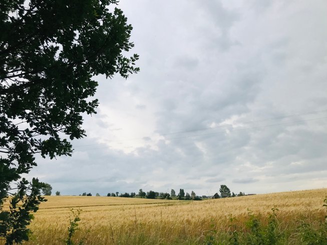 Ô cocon du Lauragais - Dôme et Spa : Bulle en Languedoc-Roussillon (Occitanie) – photo 23 sur 34