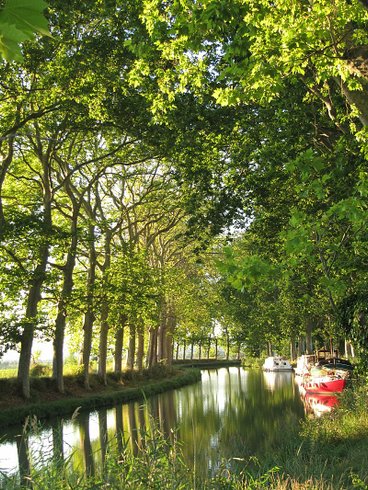 Ô cocon du Lauragais - Dôme et Spa : Bulle en Languedoc-Roussillon (Occitanie) – photo 31 sur 34