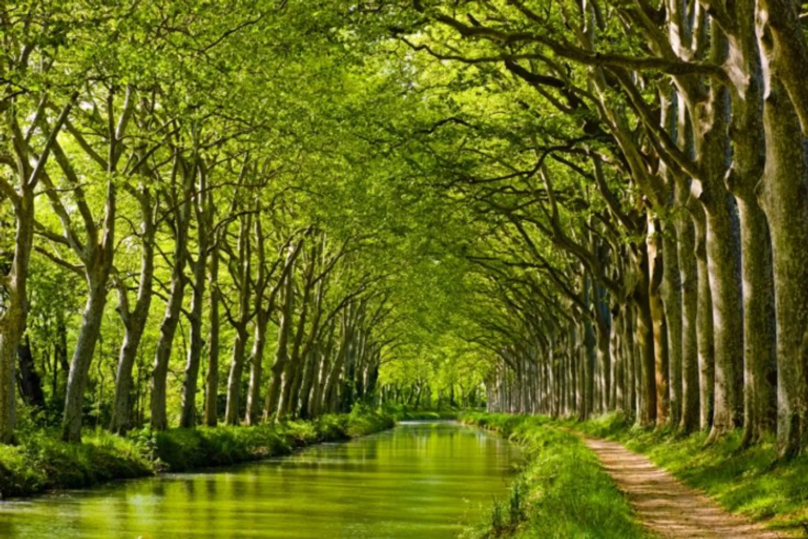 Ô Cocon du Lauragais - Dôme et Spa - photo 33 sur 34