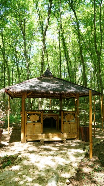 Chambre bulle sous les étoiles à Parmilieu