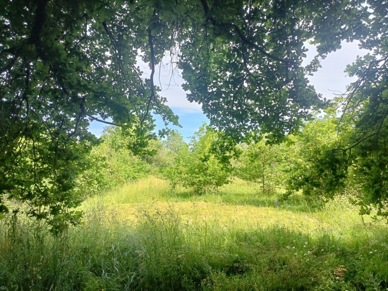 Entre rêves et chêne : Bulle en Poitou-Charentes (Nouvelle Aquitaine) – photo 6 sur 14