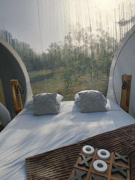 Chambre bulle sous les étoiles à Le Vigeant