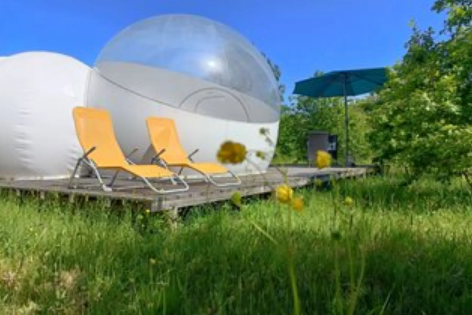 L'Ode à l'évasion : Bulle en Poitou-Charentes (Nouvelle Aquitaine) - photo 13 sur 15