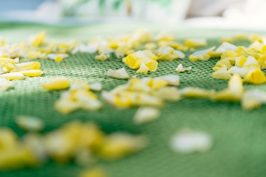 Somn'en Bulle : Bulle en Midi-Pyrénées (Occitanie) – photo 13 sur 38