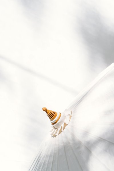 Somn'en Bulle : Bulle en Midi-Pyrénées (Occitanie) – photo 23 sur 38