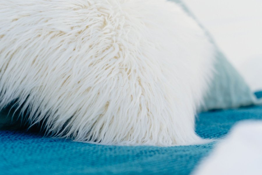 Somn'en Bulle : Bulle en Midi-Pyrénées (Occitanie) – photo 38 sur 38