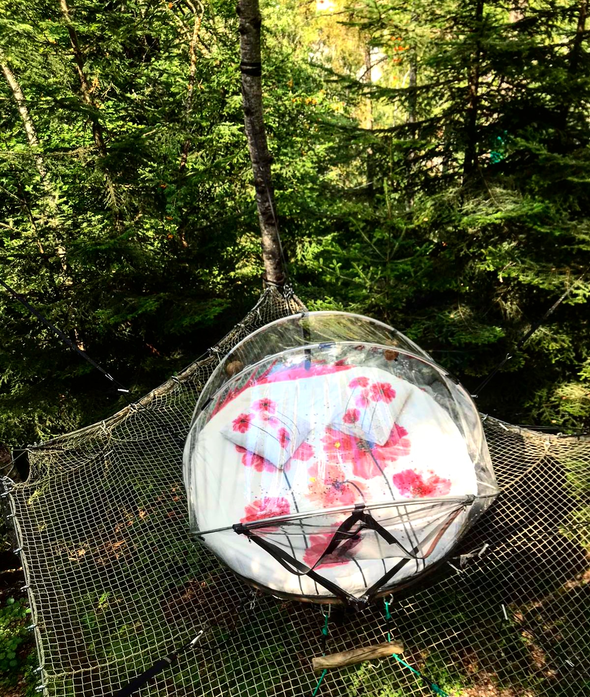 Rêvembulle – nuit suspendue dans les Écrins (La Chapelle-en-Valgaudemar) – cadre naturel Hautes-Alpes