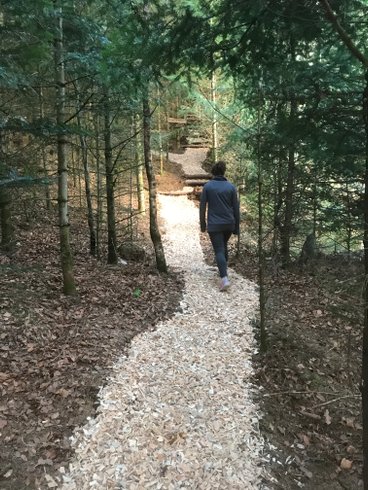 Dôme L'étoile : Dôme en Lorraine (Grand Est) – photo 13 sur 20