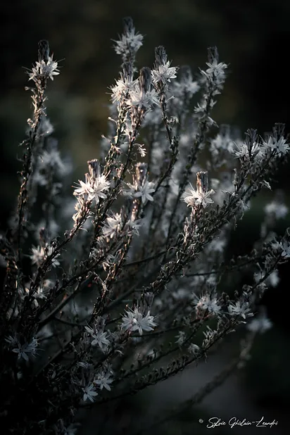 Sottu E Stelle - photo 11 sur 29