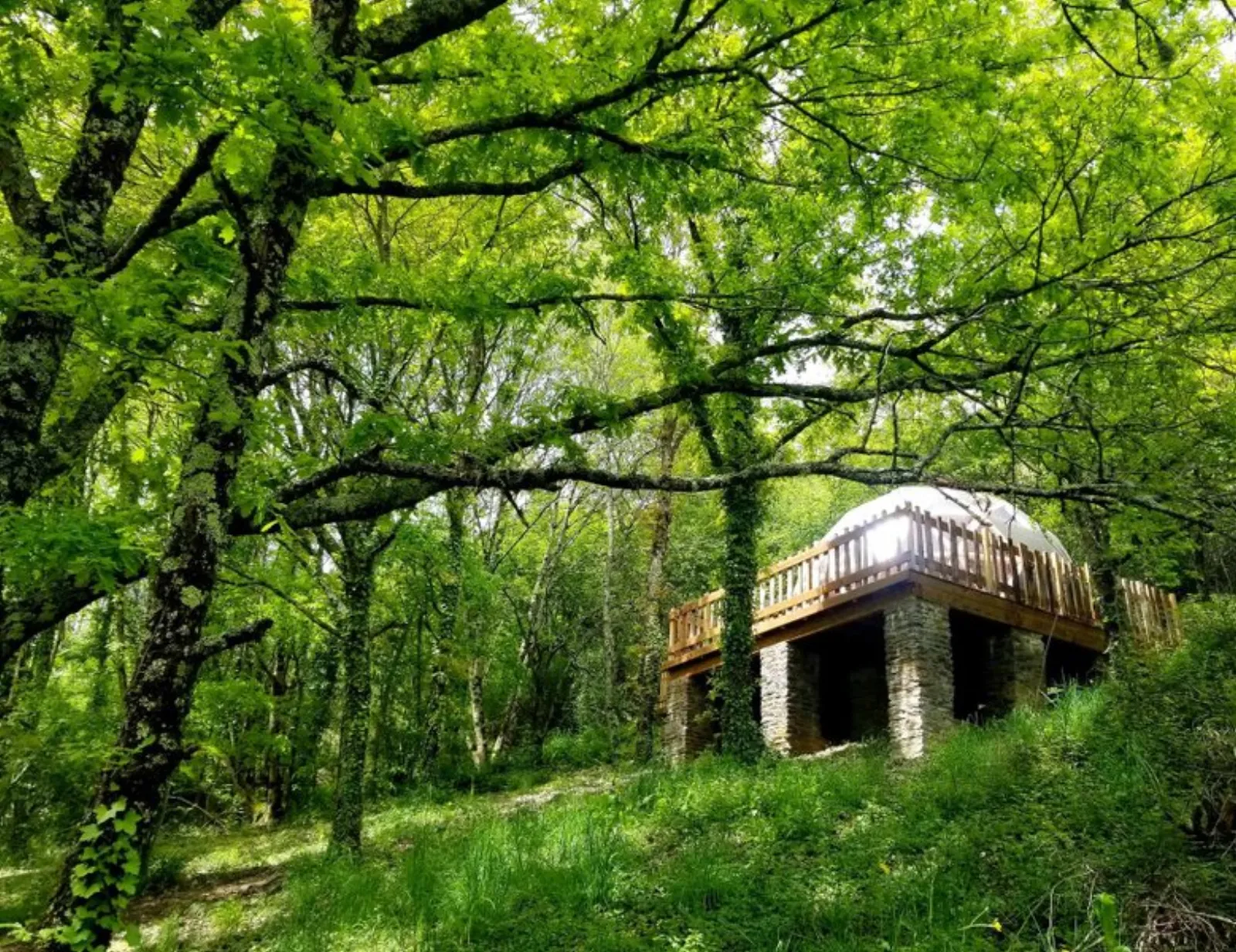 Dôme perché sur pilotis & spa : Dôme en Midi-Pyrénées (Occitanie) - photo 30 sur 68