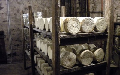 Dôme perché sur pilotis & spa : Dôme en Midi-Pyrénées (Occitanie) – photo 61 sur 68