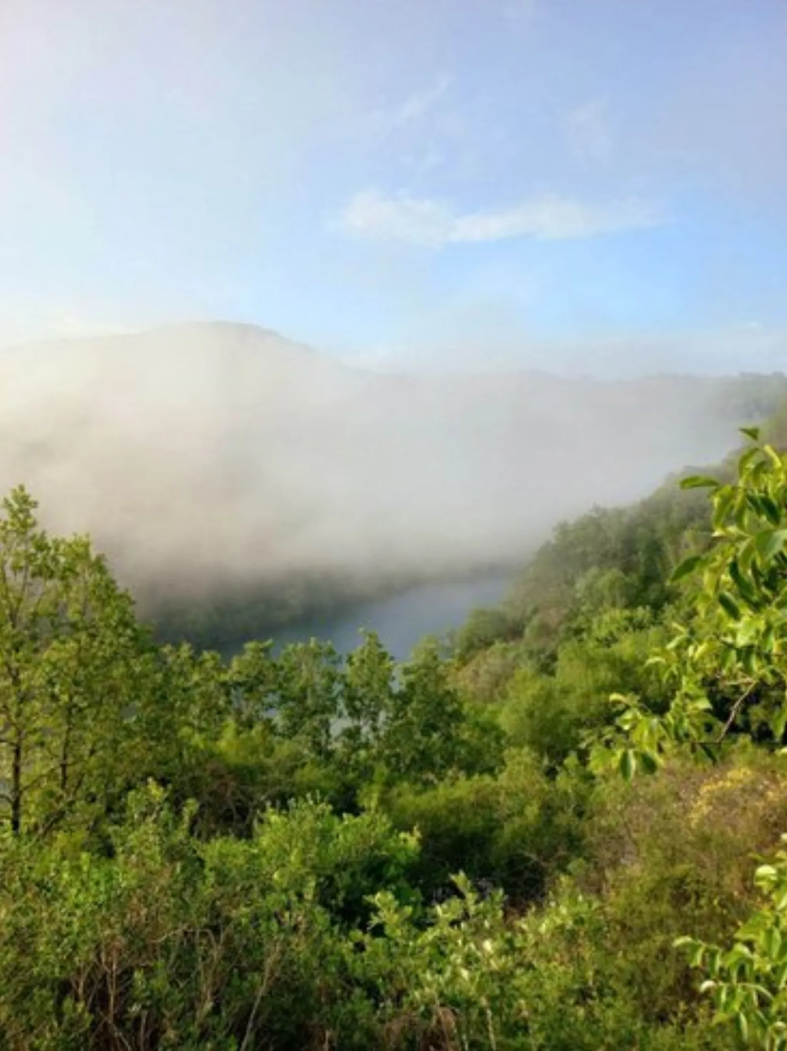 Dôme Sweet Dream & spa avec vue rivière : Dôme en Midi-Pyrénées (Occitanie) - photo 18 sur 91