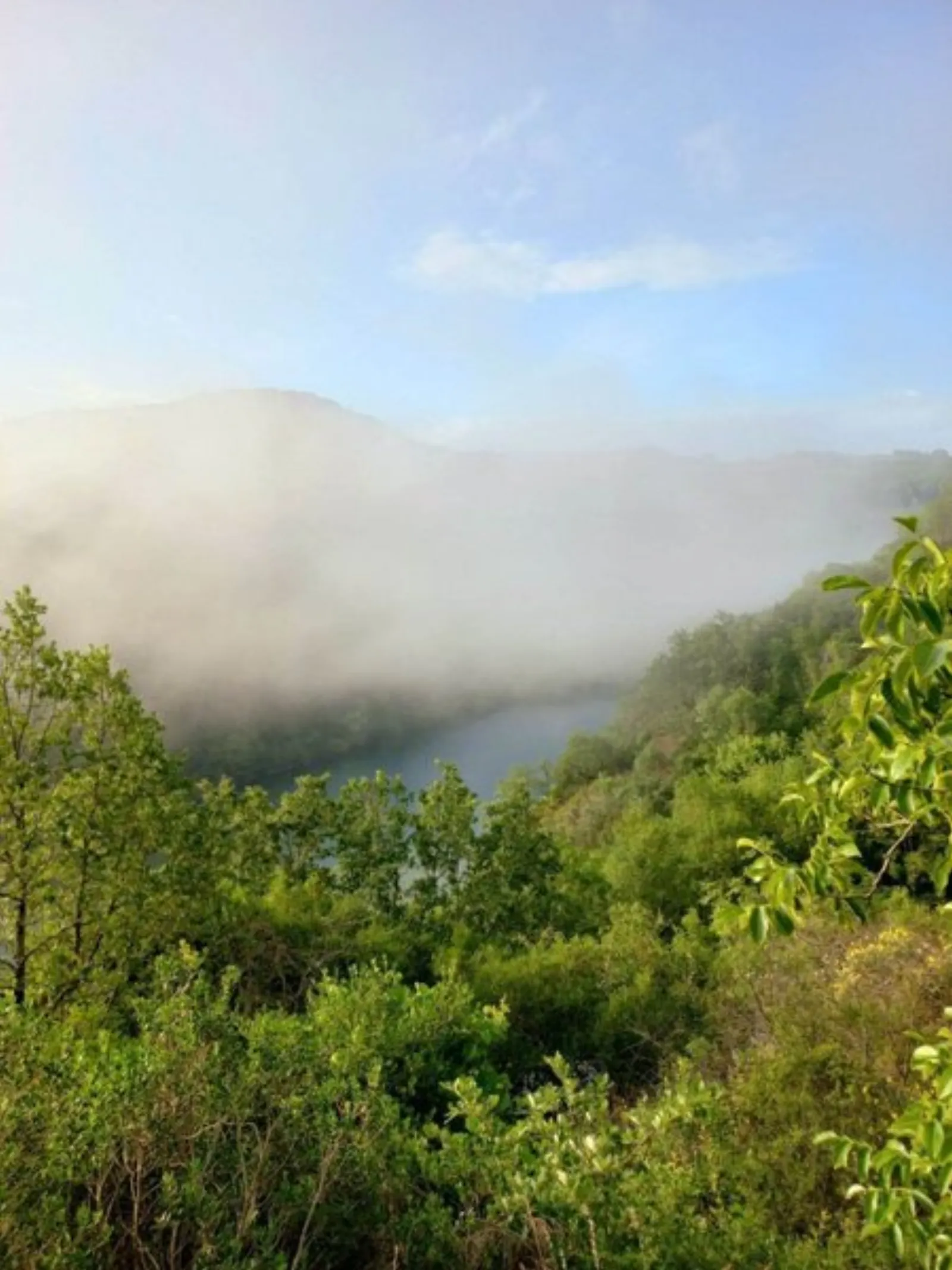 Dôme Sweet Dream & spa avec vue rivière : Dôme en Midi-Pyrénées (Occitanie) - photo 60 sur 91