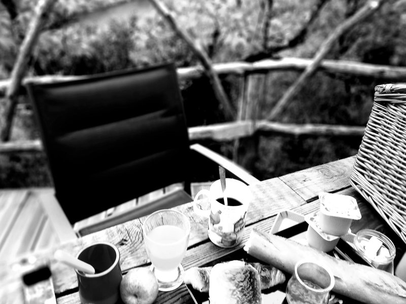 Dôme Sweet Dream & spa avec vue rivière : Dôme en Midi-Pyrénées (Occitanie) – photo 66 sur 91