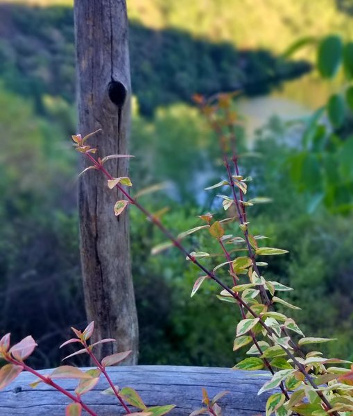 Dôme Sweet Dream & spa avec vue rivière : Dôme en Midi-Pyrénées (Occitanie) – photo 71 sur 91