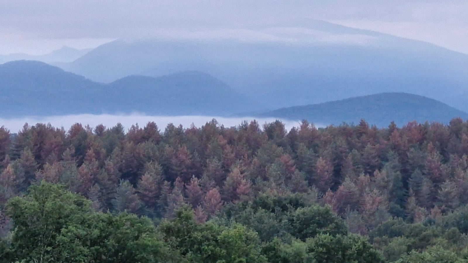 Spiru'bulle Insolite – photo 8 sur 23