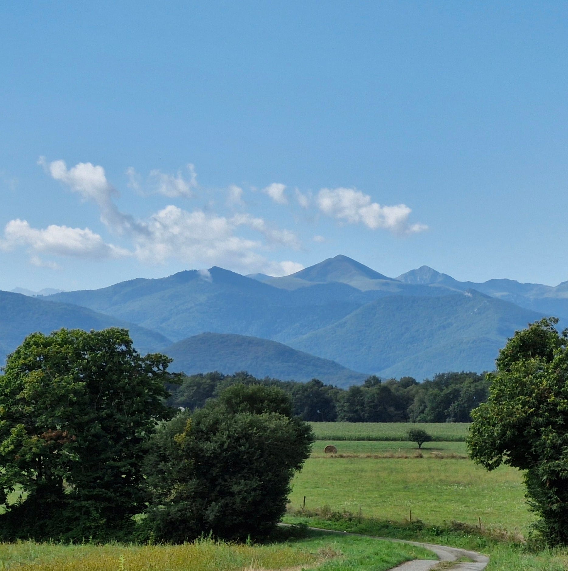 Spiru'bulle Insolite – photo 11 sur 23