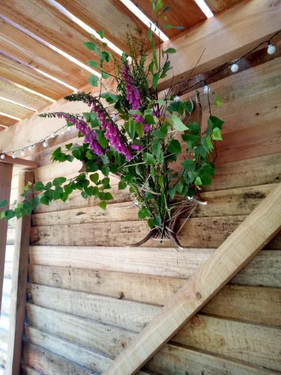 Bulle de l'Élevage Girbal - Bulle pour deux avec terrasse et jardin (La Chapelotte, Cher) - photo 8 sur 10
