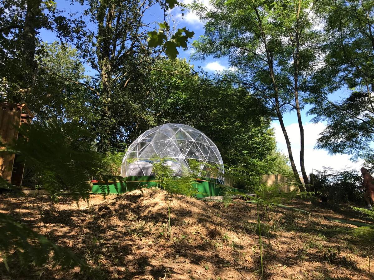 Bulle en Nature Landaise – vue extérieure