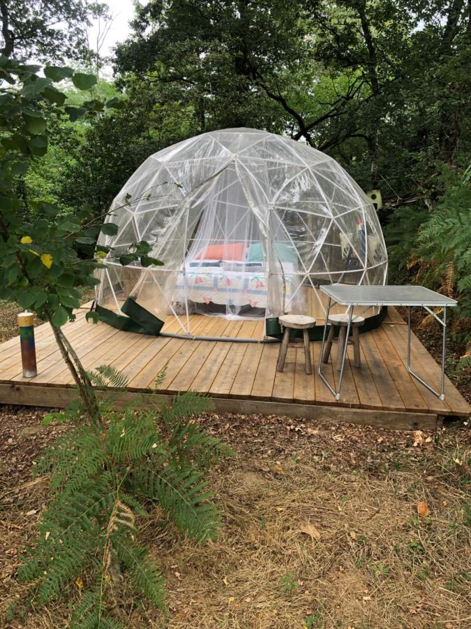 Équipements de la bulle à Saint-Sever