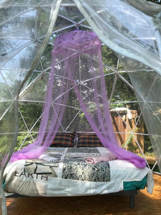 Bulle en Nature Landaise – cadre naturel Landes