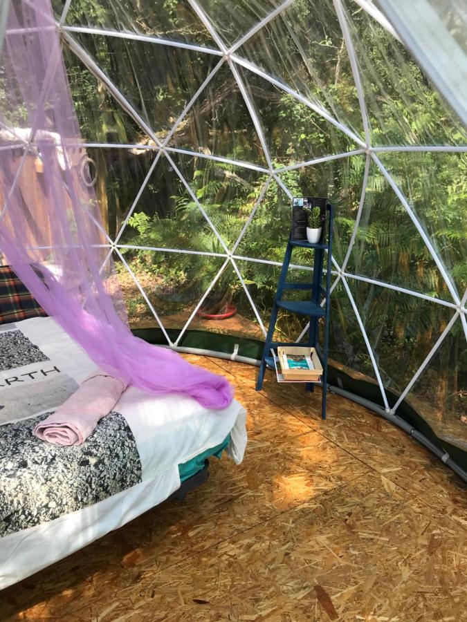 Chambre bulle sous les étoiles à Saint-Sever