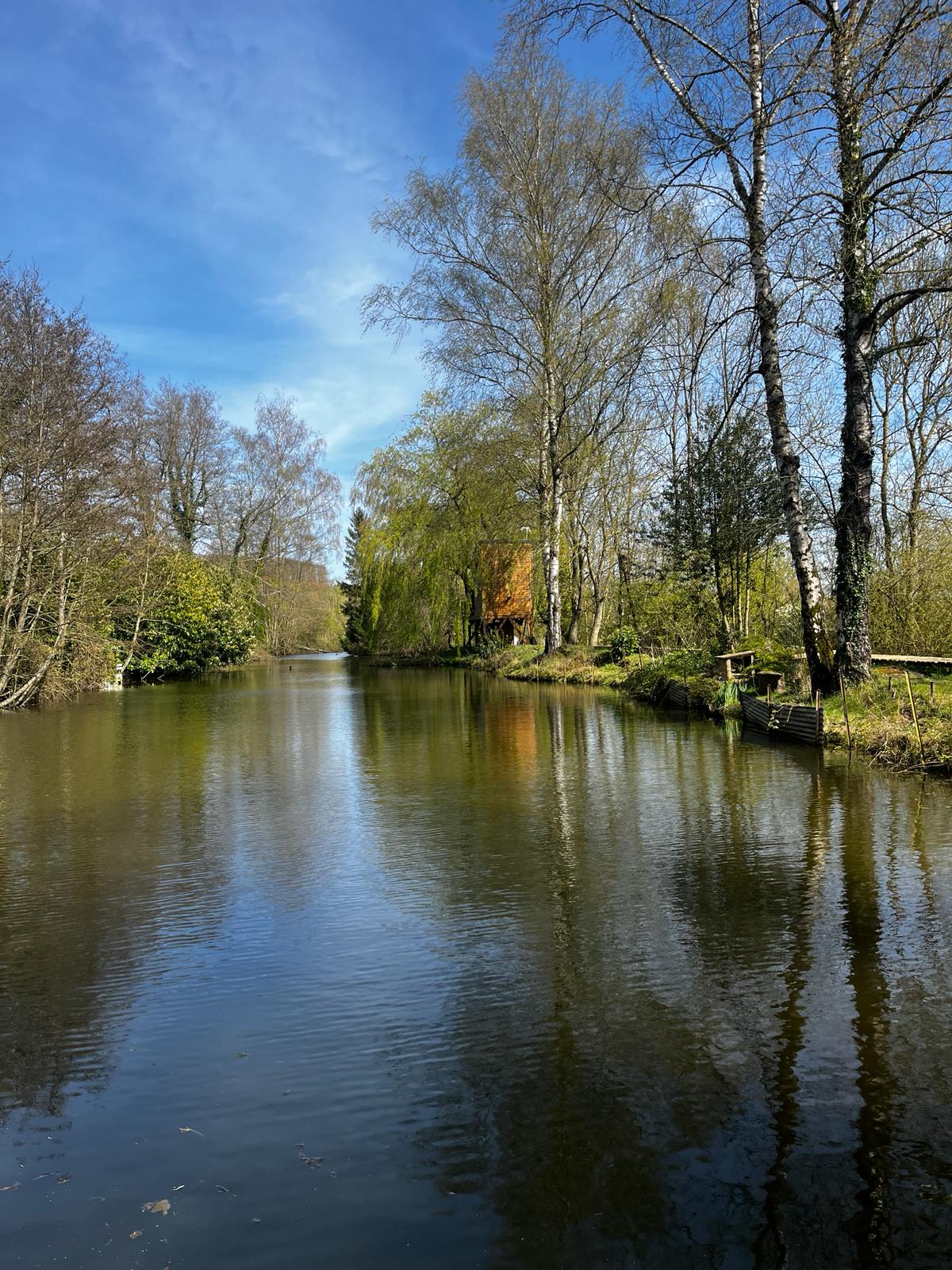 La Tête dans les Étoiles – photo 9 sur 15