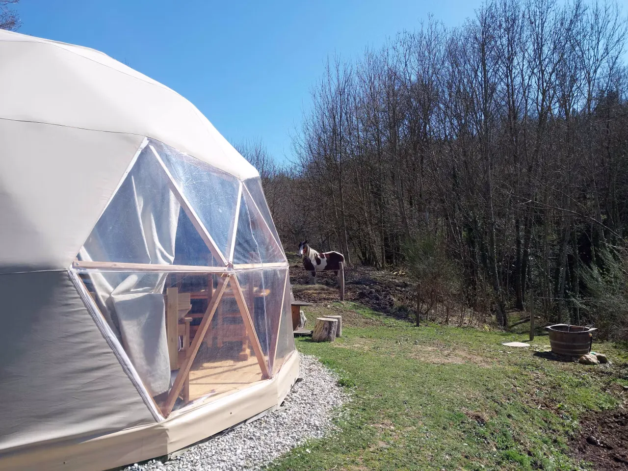 The Mush's rooms - rêver avec les alpagas - vue extérieure