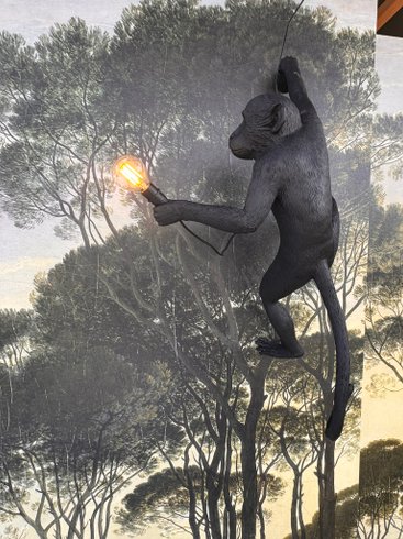 Dôme étoilé : Dôme en Pays de la Loire – photo 16 sur 31