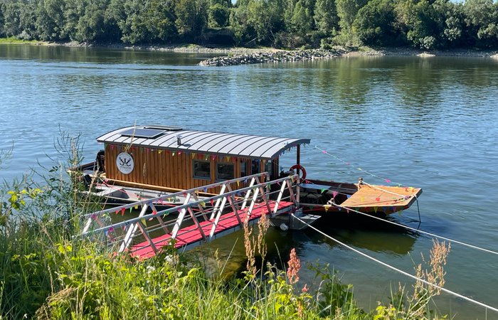 Dôme étoilé : Dôme en Pays de la Loire – photo 28 sur 31