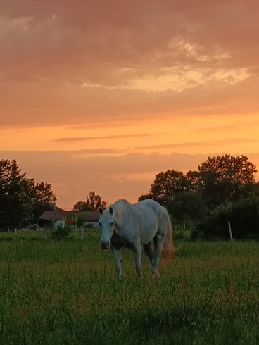 Dôme Shizen : Dôme en Midi-Pyrénées (Occitanie) – photo 24 sur 35