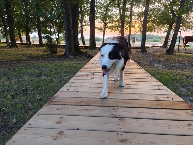 Dôme Shizen : Dôme en Midi-Pyrénées (Occitanie) – photo 27 sur 35