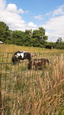 Dôme : Dôme en Pays de la Loire – photo 6 sur 14