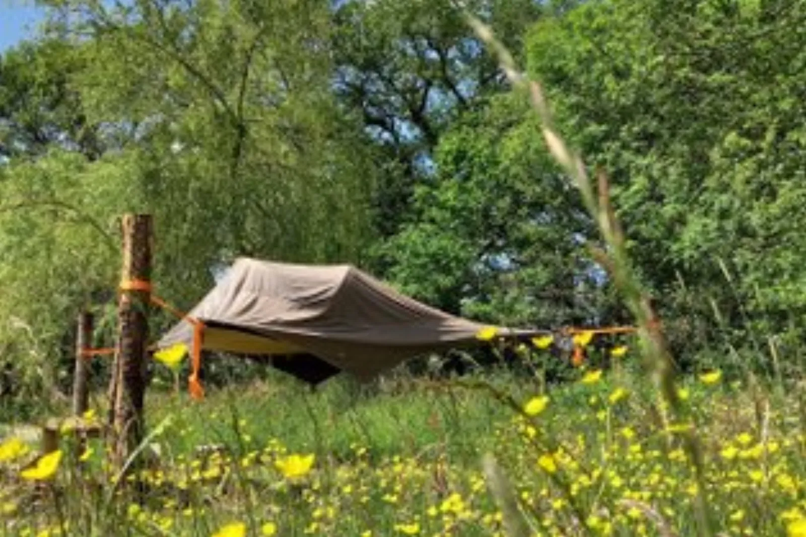 Dôme : Dôme en Pays de la Loire - photo 9 sur 14