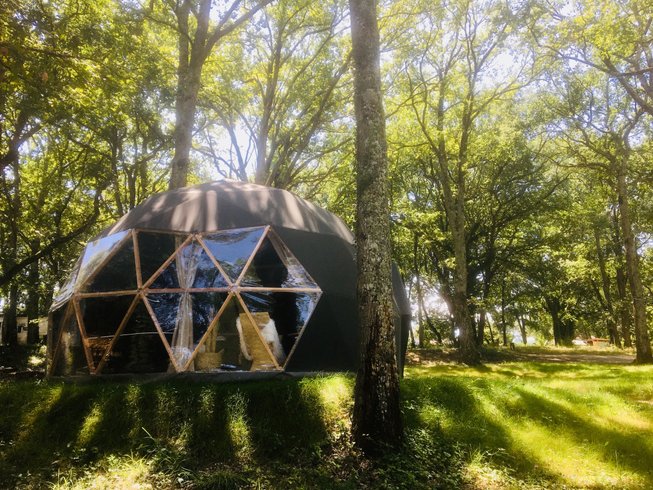 Jungle Dôme : Dôme en Midi-Pyrénées (Occitanie) – photo 10 sur 23