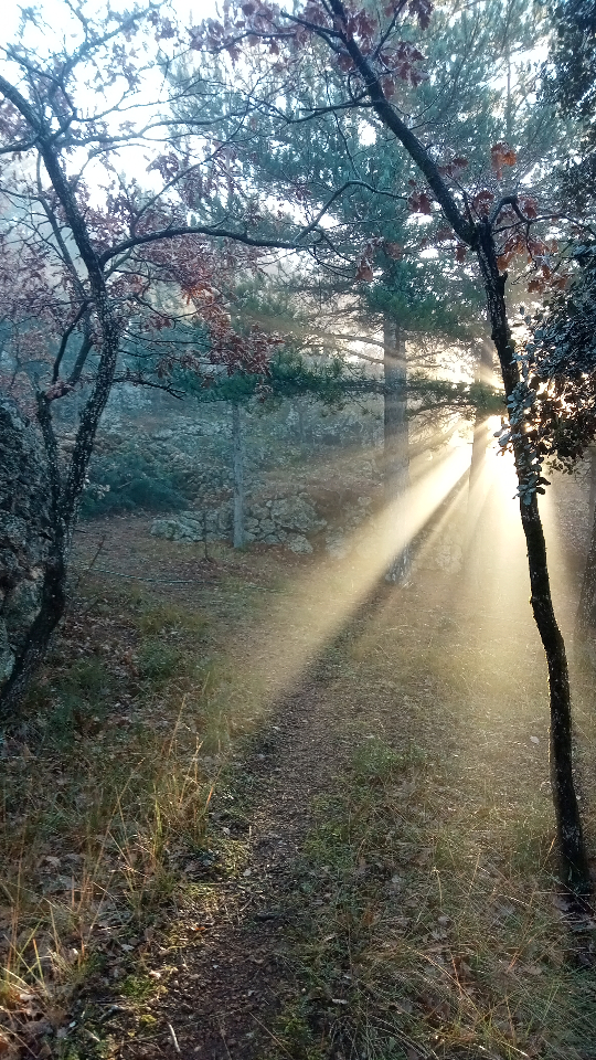 Wigwam étoilé – photo 7 sur 16