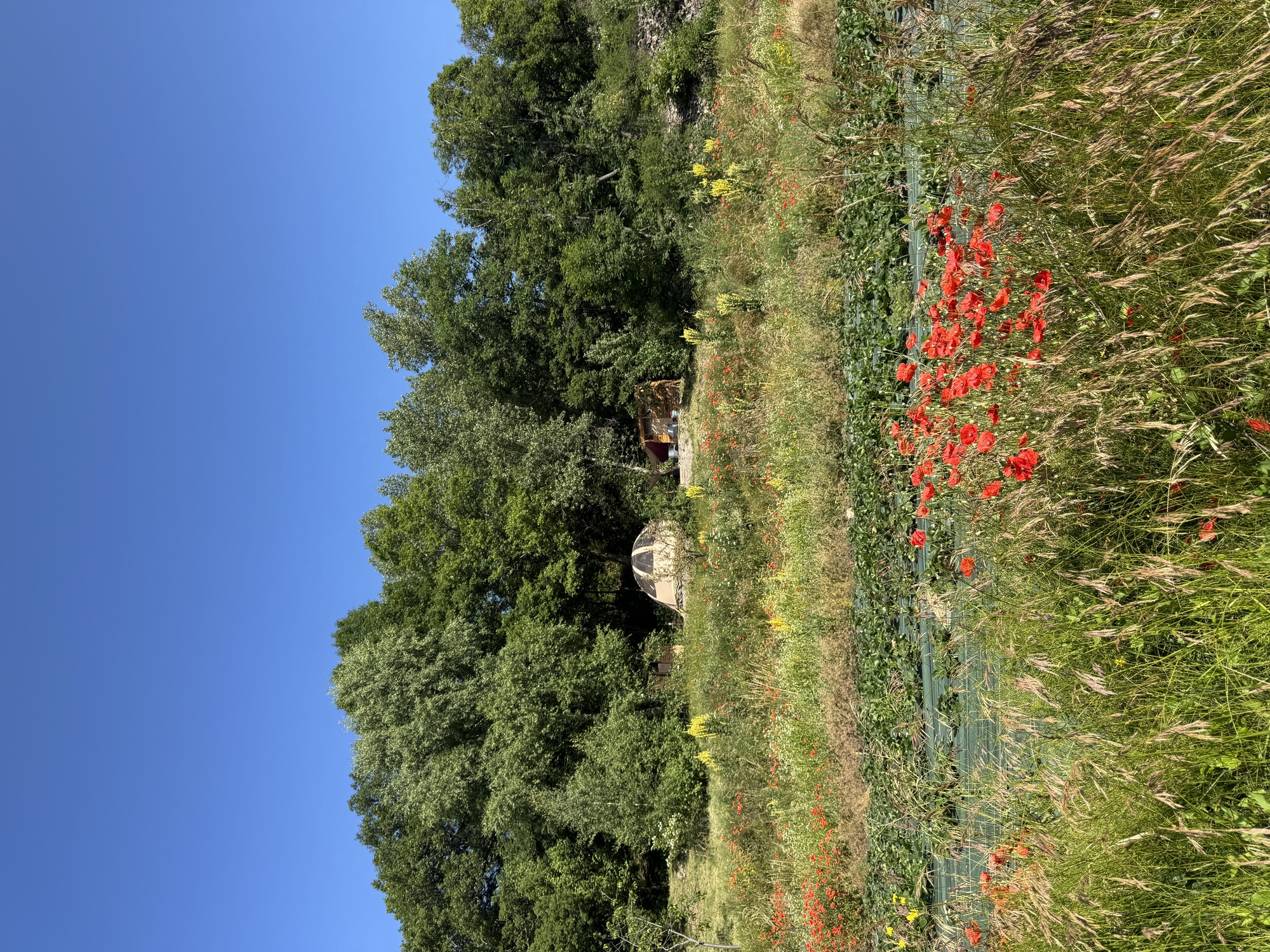 Wigwam montagnard & Spa - photo 14 sur 21