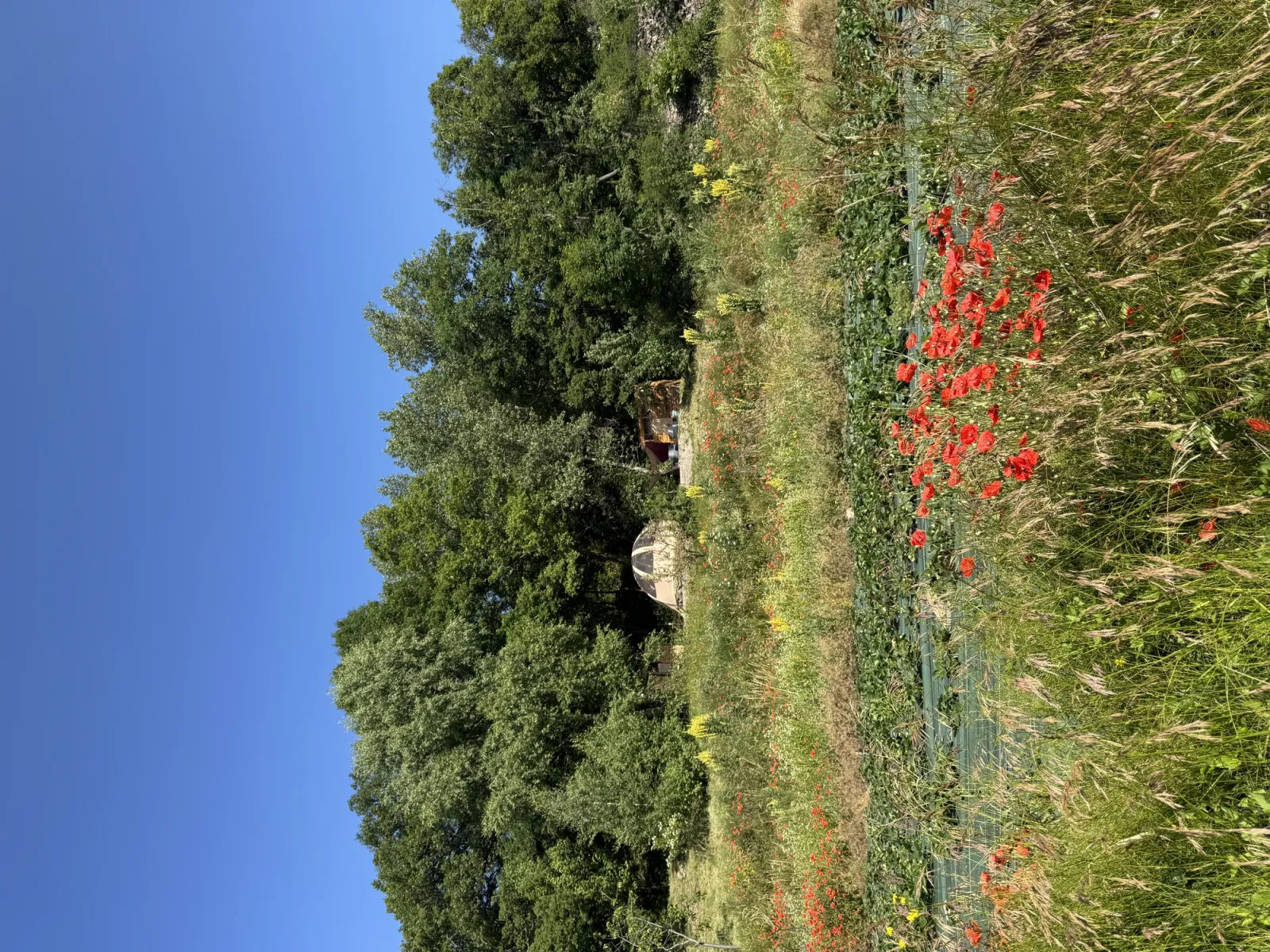 Wigwam montagnard & Spa - photo 14 sur 21