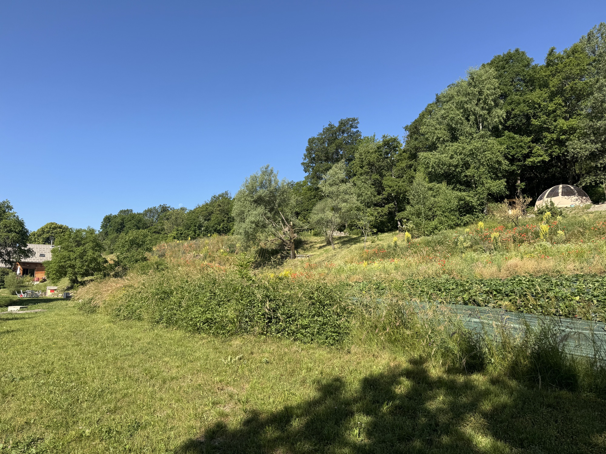 Wigwam montagnard & Spa - photo 15 sur 21